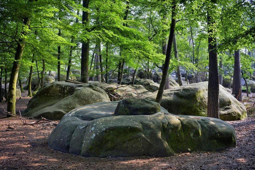 Maison de charme en forêt de Fontainebleau Recloses Exterior foto